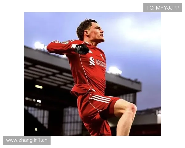 维尔茨战术适配性