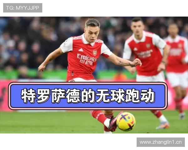 特罗萨德职业生涯的高效性与价值解析 特罗萨德职业生涯的高效性与价值解析